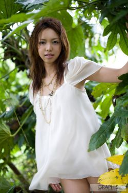 至上励合金恩圣